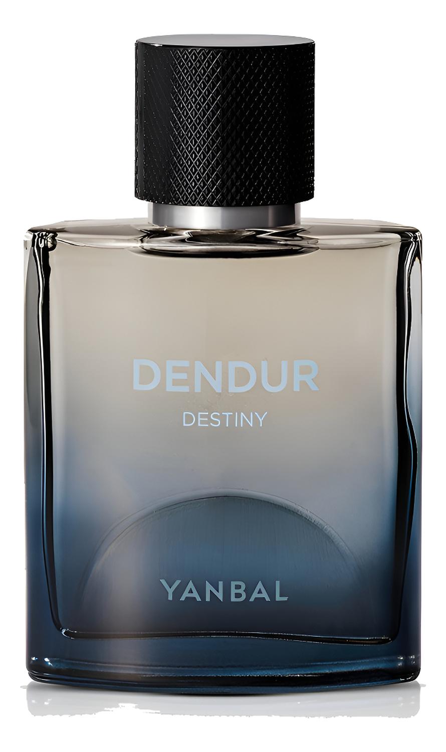DENDUR DESTINY PERFUME DE HOMBRE YANBAL - 1
