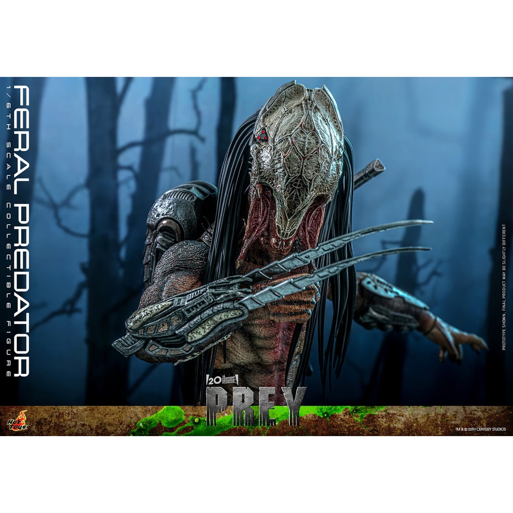 PREY TMS114 FERAL PREDATOR 1/6 - 3