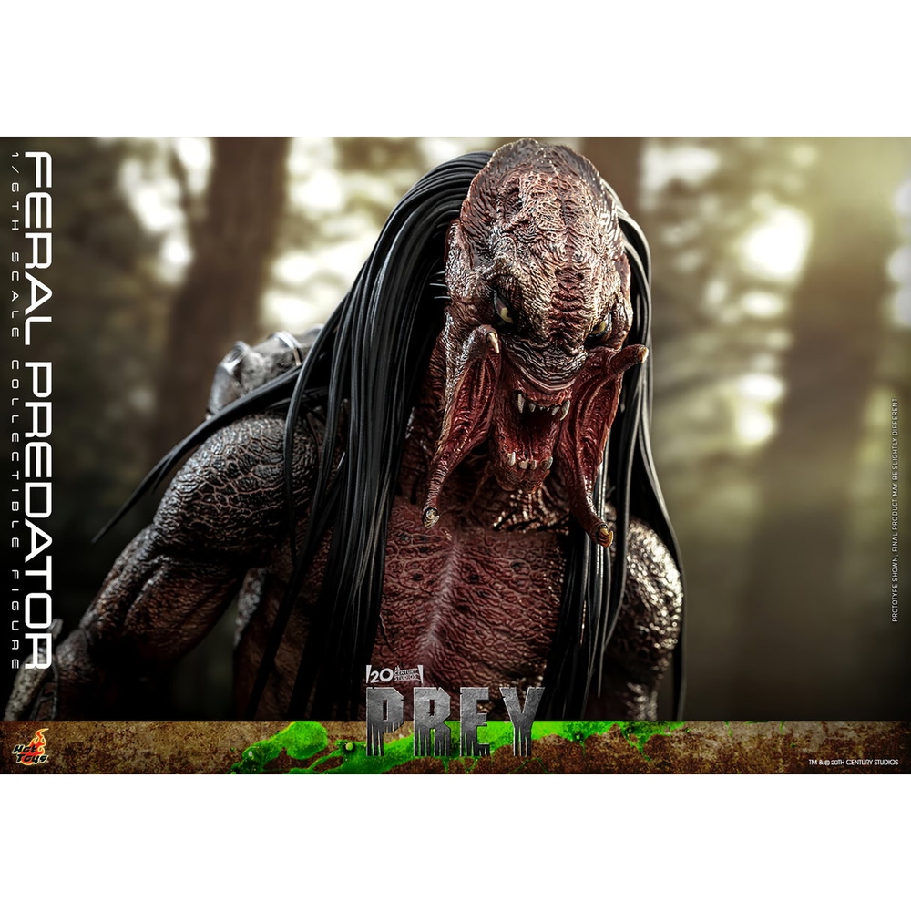 PREY TMS114 FERAL PREDATOR 1/6 - 4
