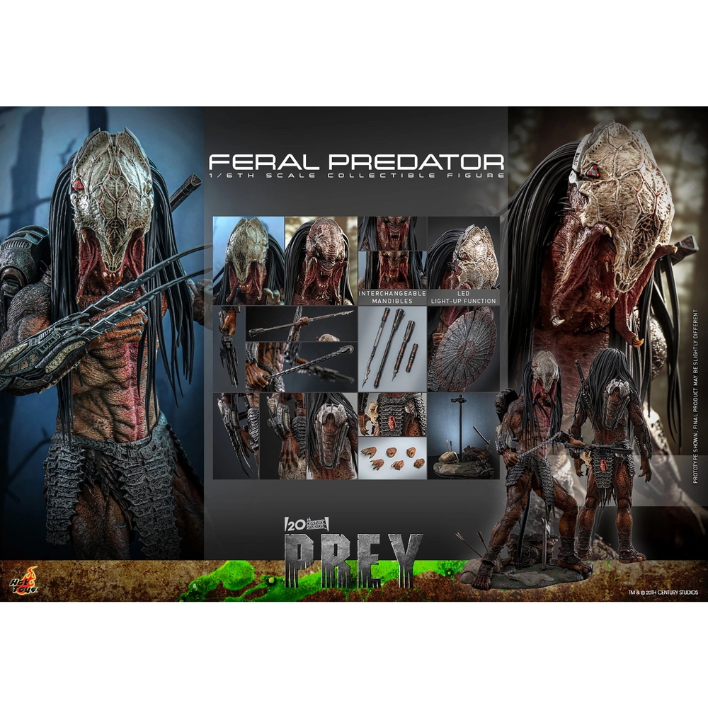 PREY TMS114 FERAL PREDATOR 1/6 - 6