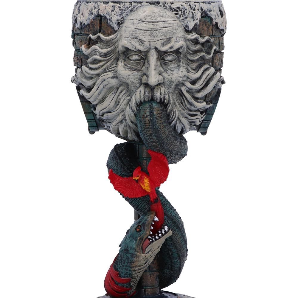HARRY POTTER CHAMBER OF SECRETS COPA - 5