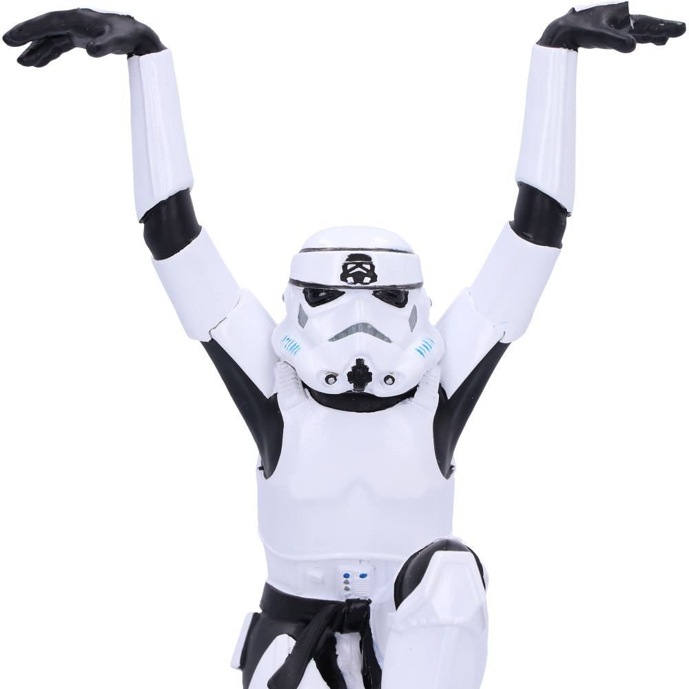 STAR WARS STORMTROOPER CRANE KICK - 6