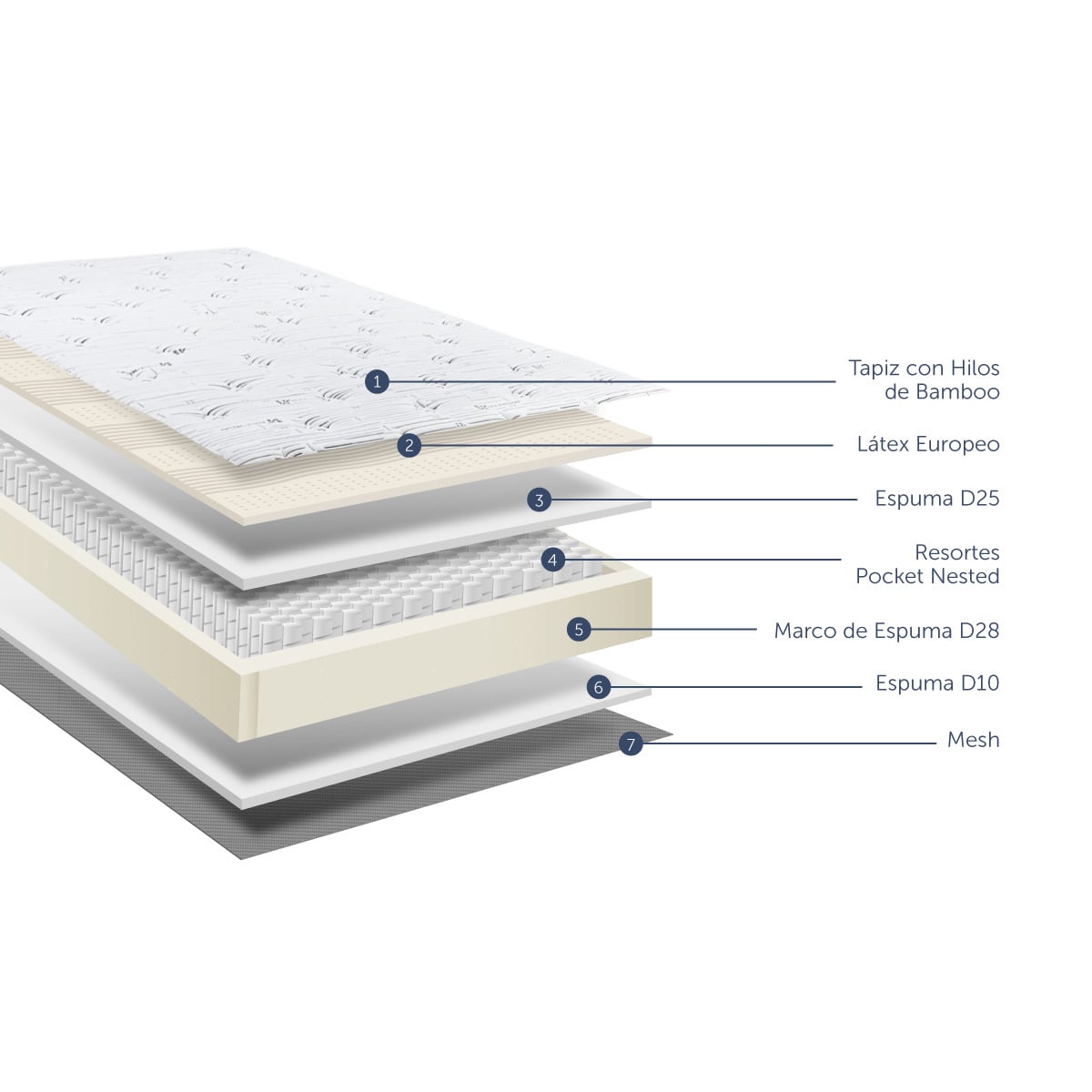 CAMA PRAKTIBOX LAQUEDA PURE FRESH QUEEN - 5