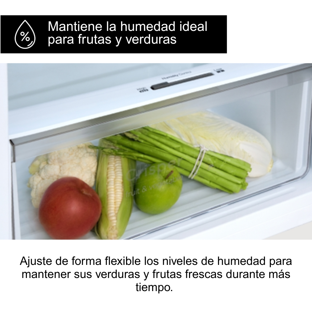 REFRIGERADORA PANASONIC 251 L TOP FREEZER BT31 - 2