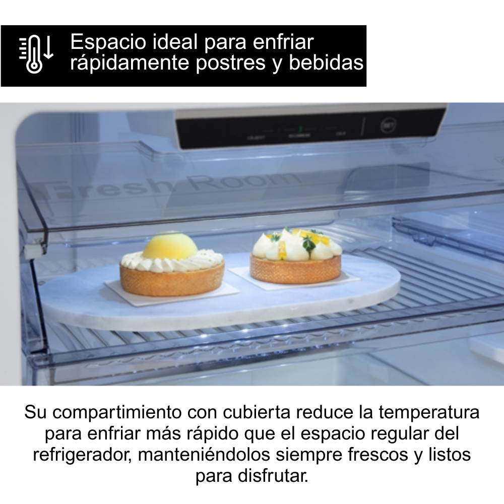 REFRIGERADORA PANASONIC 251 L TOP FREEZER BT31 - 10