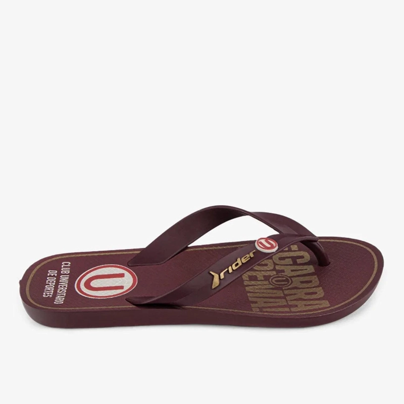 SANDALIA RIDER UNIVERSITARIO FLIP FLOP BORDO 2RDU86 - 1