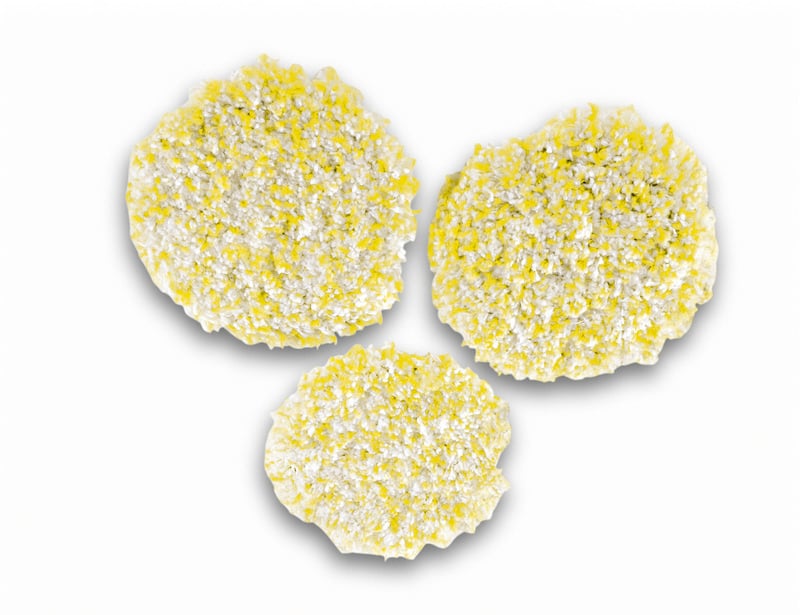 ALMOHADILLA DE PULIDO PIEDRA PARA LUSTRADORA FP 303 KARCHER - 3