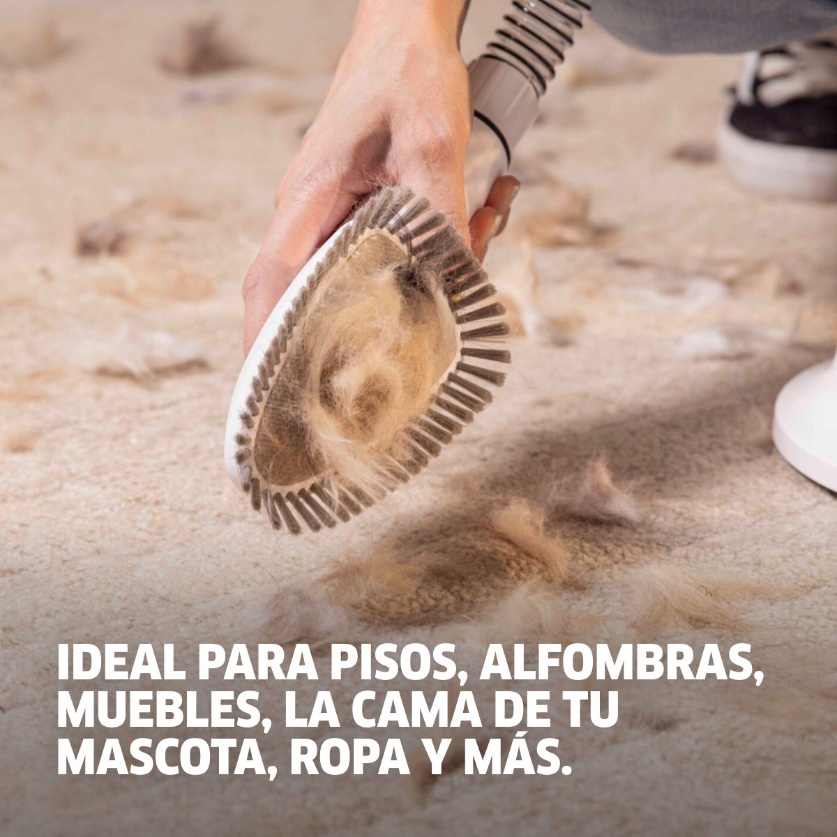ASPIRADORA Y CORTAPELOS PARA MASCOTAS PET CLEAN 300W KARCHER - 7