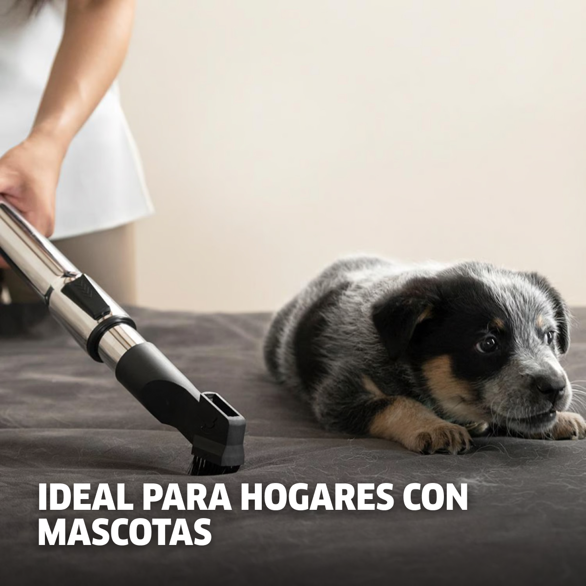 ASPIRADORA DE POLVO VCL3 CYCLONIC 1000W KARCHER - 4