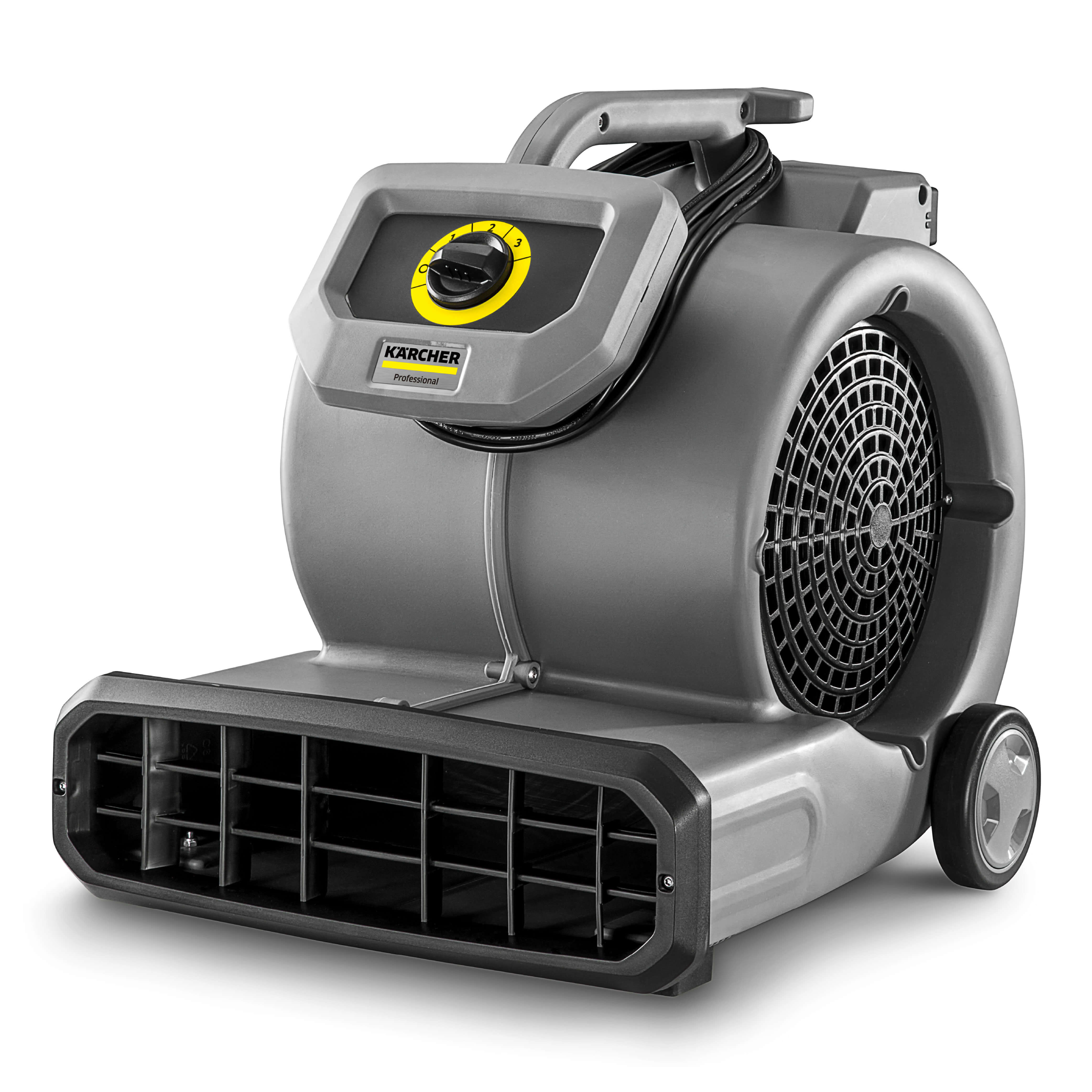 SOPLADORA SECADORA AB28 550W KARCHER - 1
