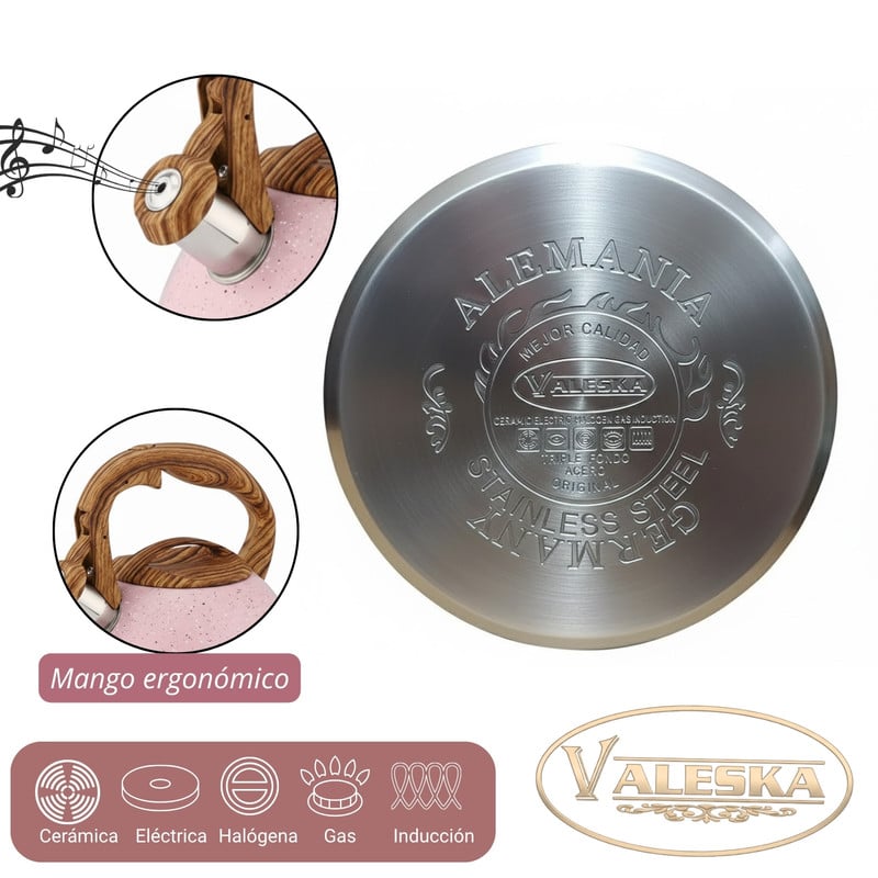 TETERA VALESKA ESTILO ROCA VOLCÁNICA CON SILBATO 5L ROSADO - 5