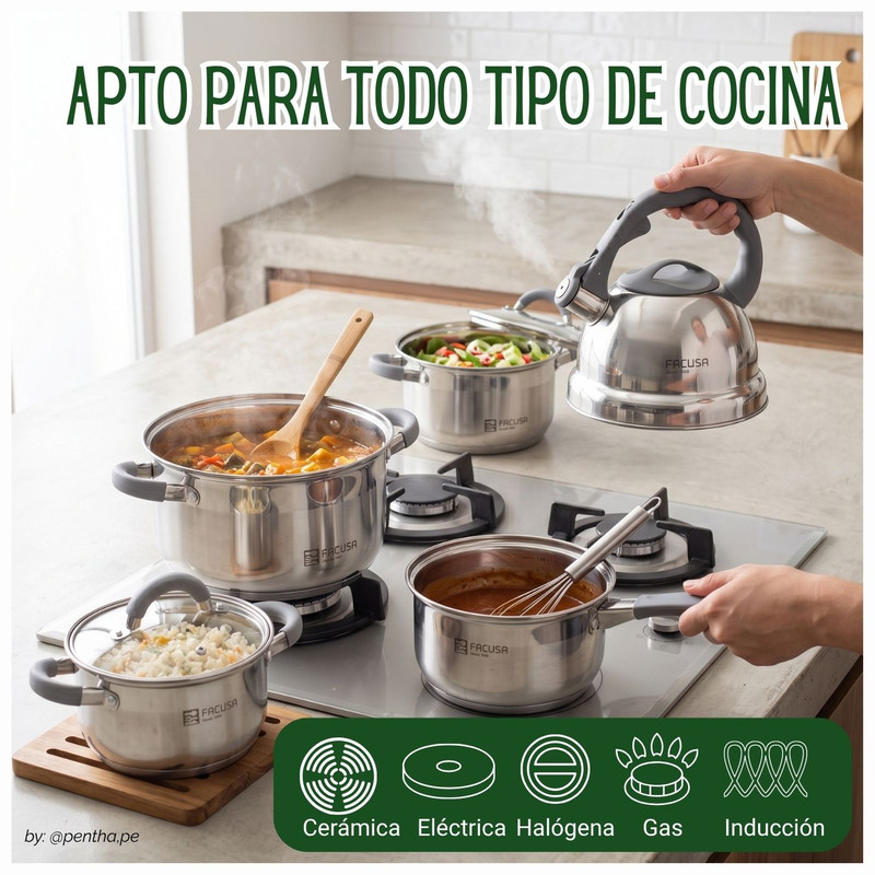 JUEGO DE OLLAS MINERVA 10 PIEZAS CON TETERA FACUSA - 3