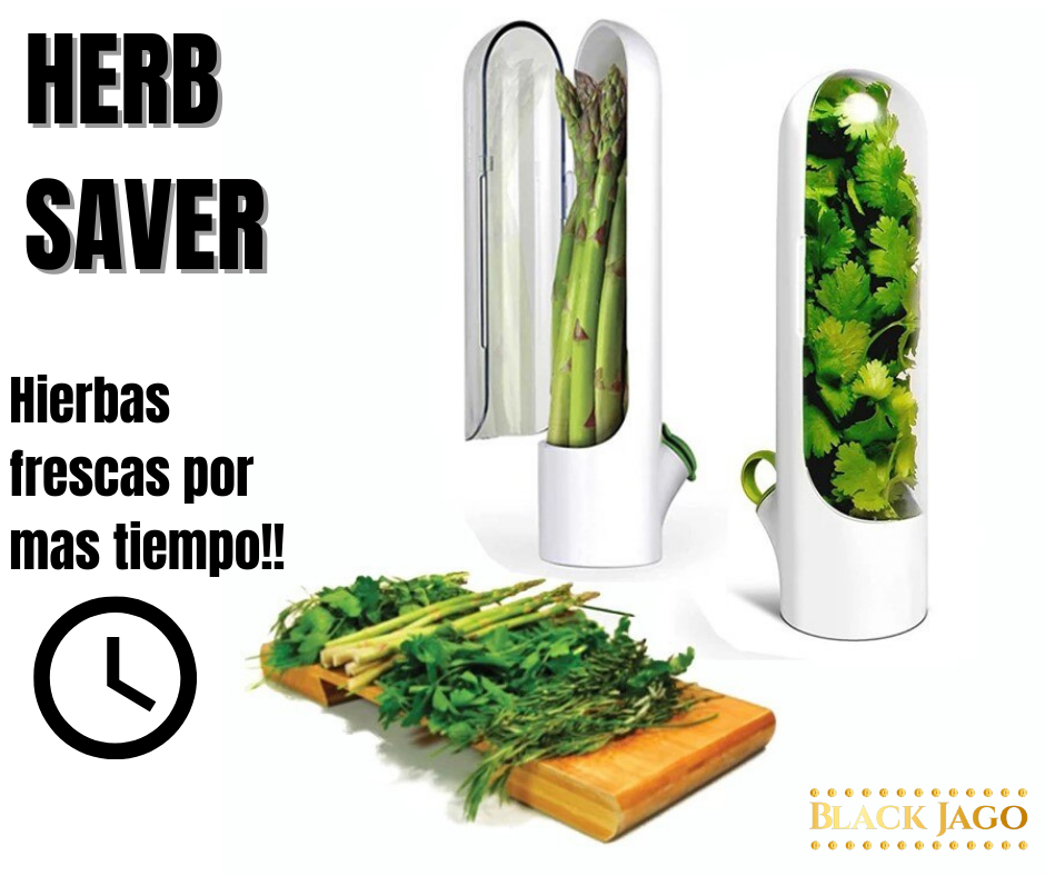 TAPERS BLANCO CONSERVADORES HIERBAS VERDURAS FRESCAS MAS TIEMPO HERB SAVER - 2