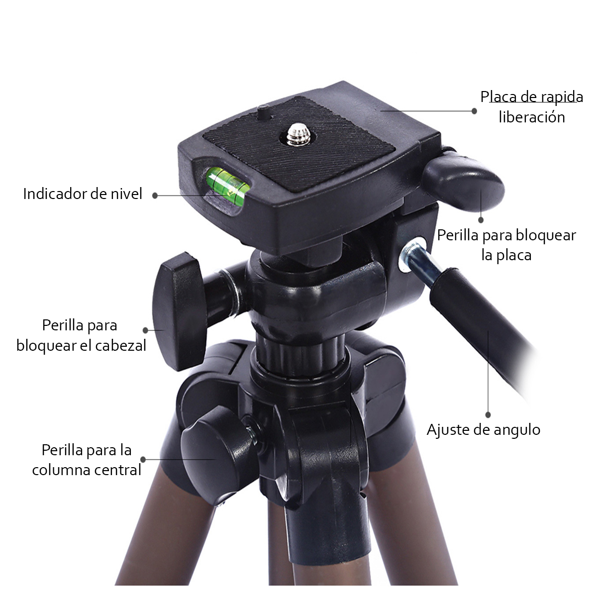 TRÍPODE PROFESIONAL PARANTE 1.25 WEIFENG WT-3130 + ADAPTADOR A CELULAR - 5