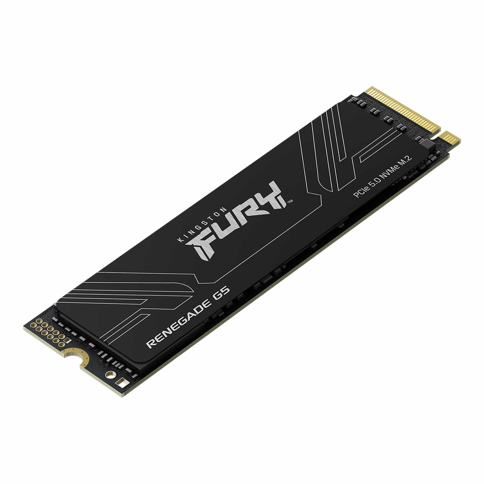 DISCO SOLIDO KINGSTON 1TB FURY RENEGADE G5 M.2 2280 NVME PCIE 5.0 X4 - 3