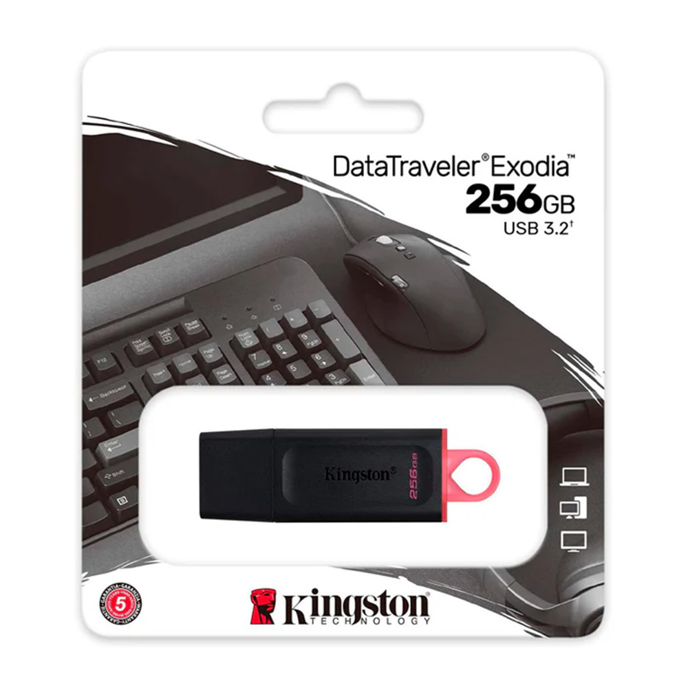 MEMORIA USB KINGSTON DATATRAVELER EXODIA 256GB USB 3.2 DTX/256GB - 1