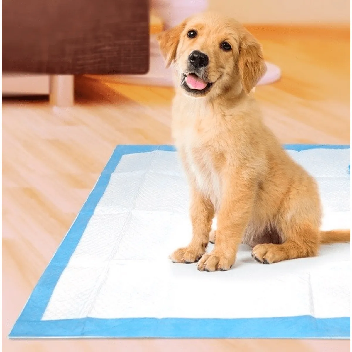 PAÑALES DE PISO ABSORBENTES 60X60 - TRAINING PADS PET - 2