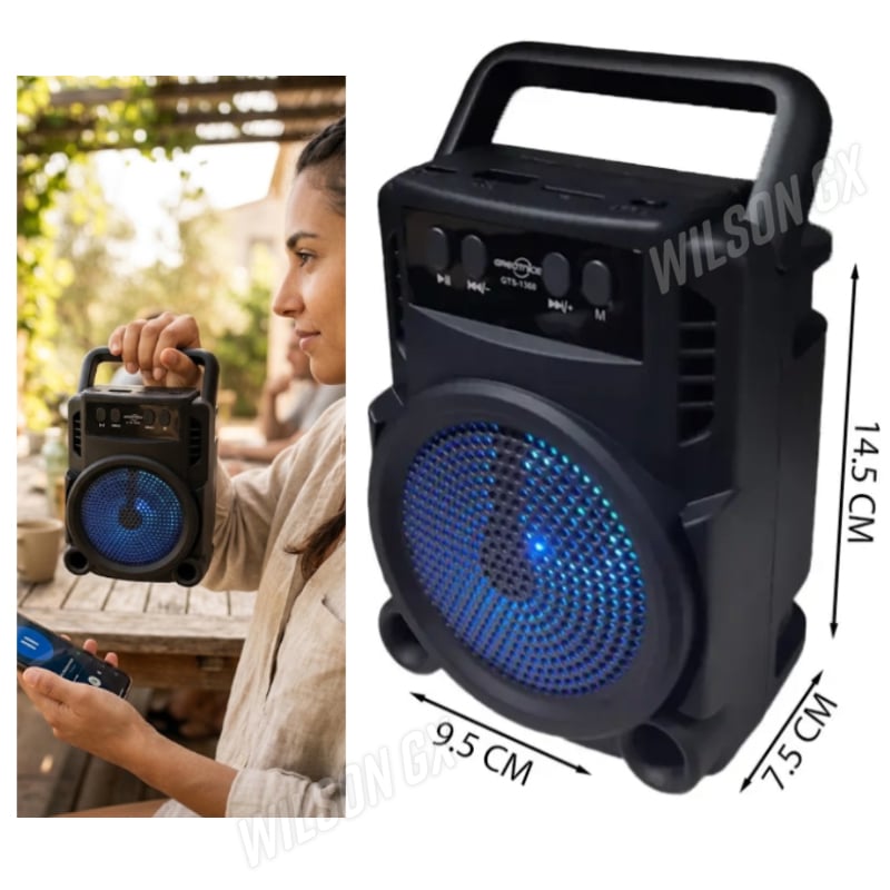 RADIO PORTATIL FM PARLANTE BLUETOOTH RECARGABLE USB - 2
