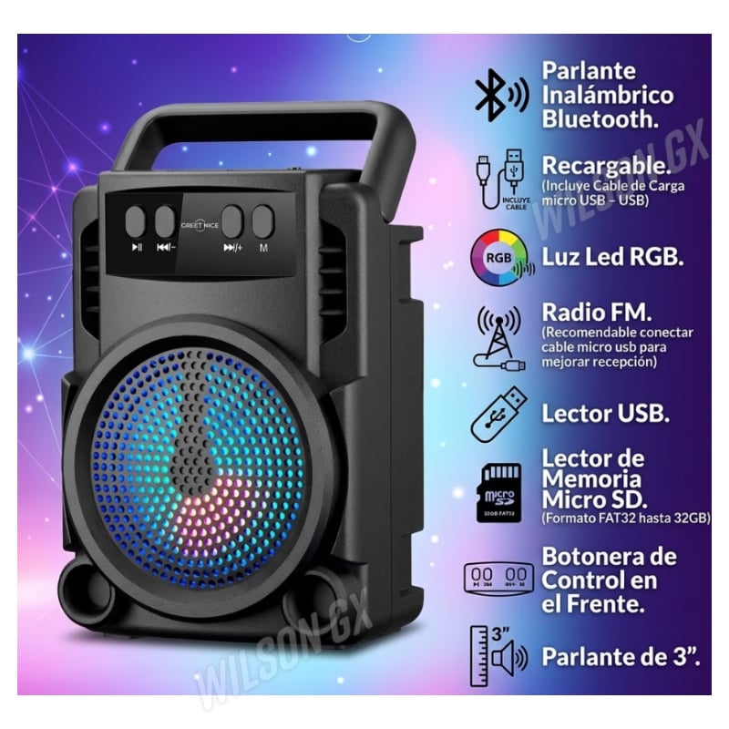 RADIO PORTATIL FM PARLANTE BLUETOOTH RECARGABLE USB - 3