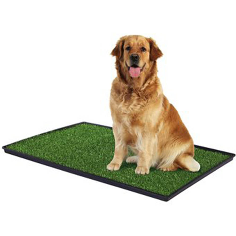 BAÑO ECOLOGICO PARA PERROS 64 X 51 CM GRANDE – MULTICOLOR - 2