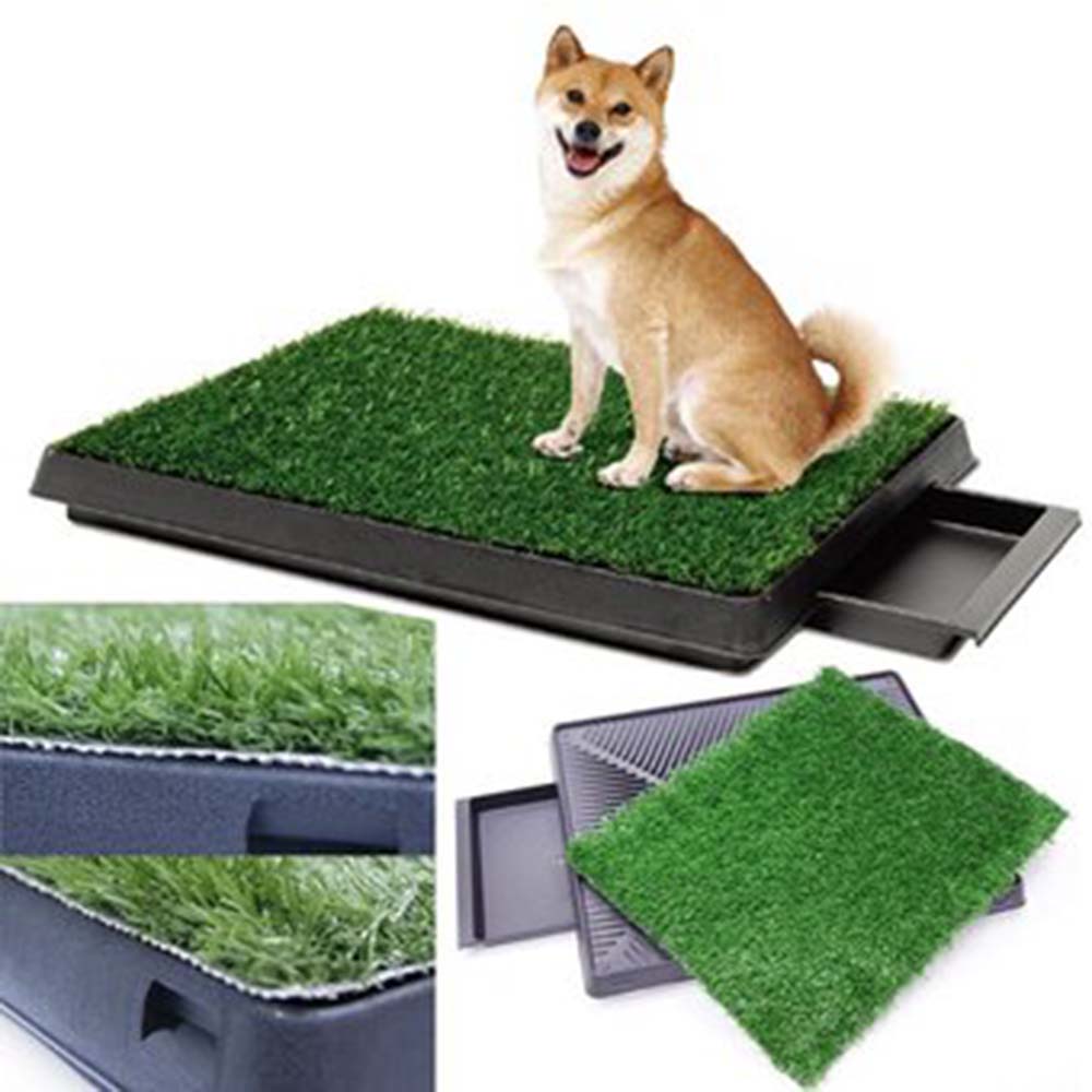 BAÑO ECOLOGICO PARA PERROS 64 X 51 CM GRANDE – MULTICOLOR - 3