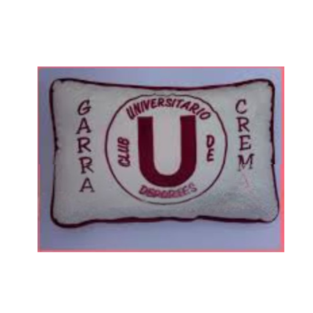 ALMOHADA DEPORTIVA TERCIOPELO - 1