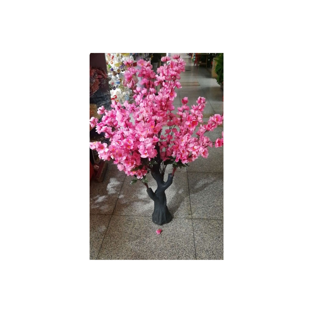 PACK DE 3 ÁRBOLES SAKURA CEREZO JAPONÈS - 1