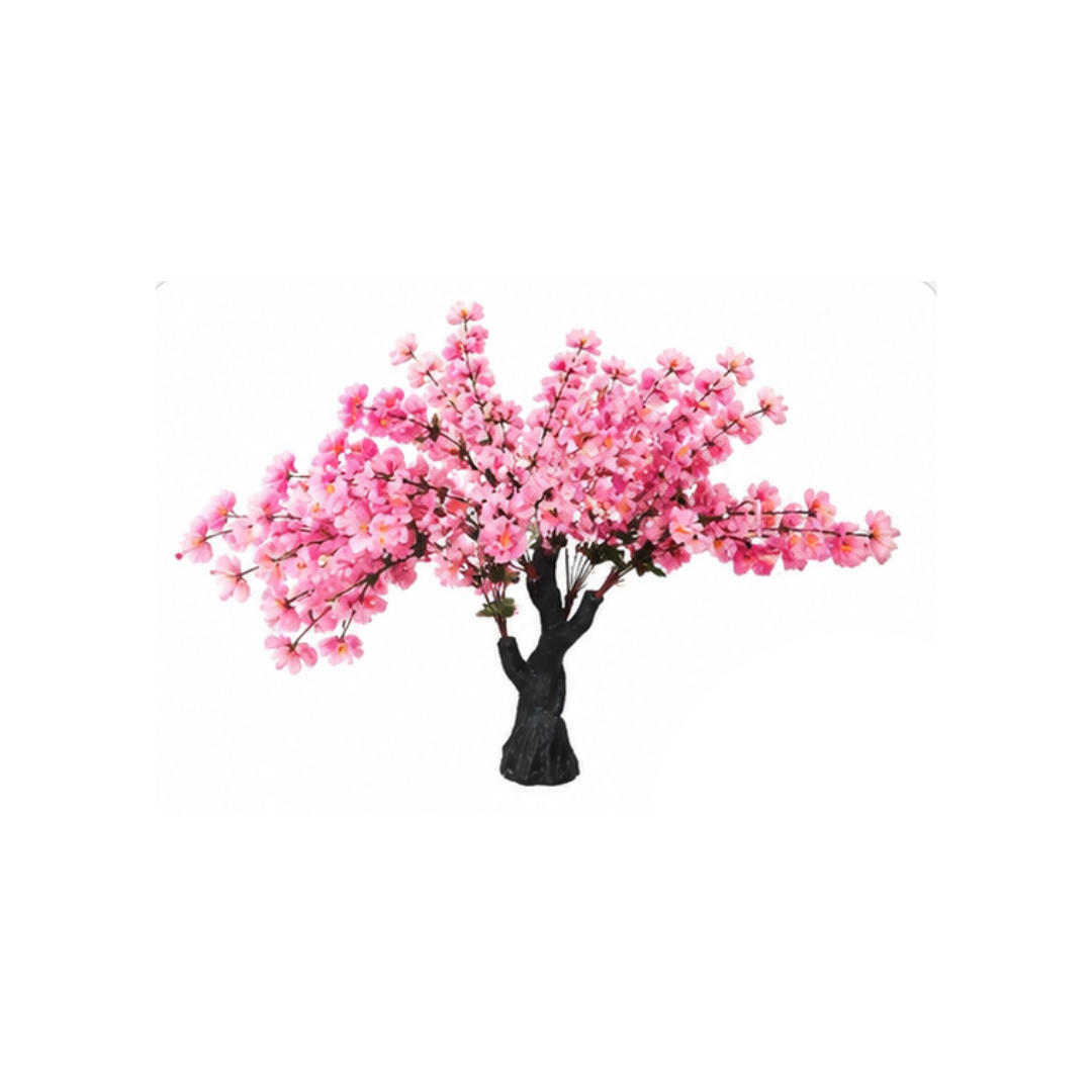 ÁRBOL SAKURA CEREZO JAPONÈS - 1