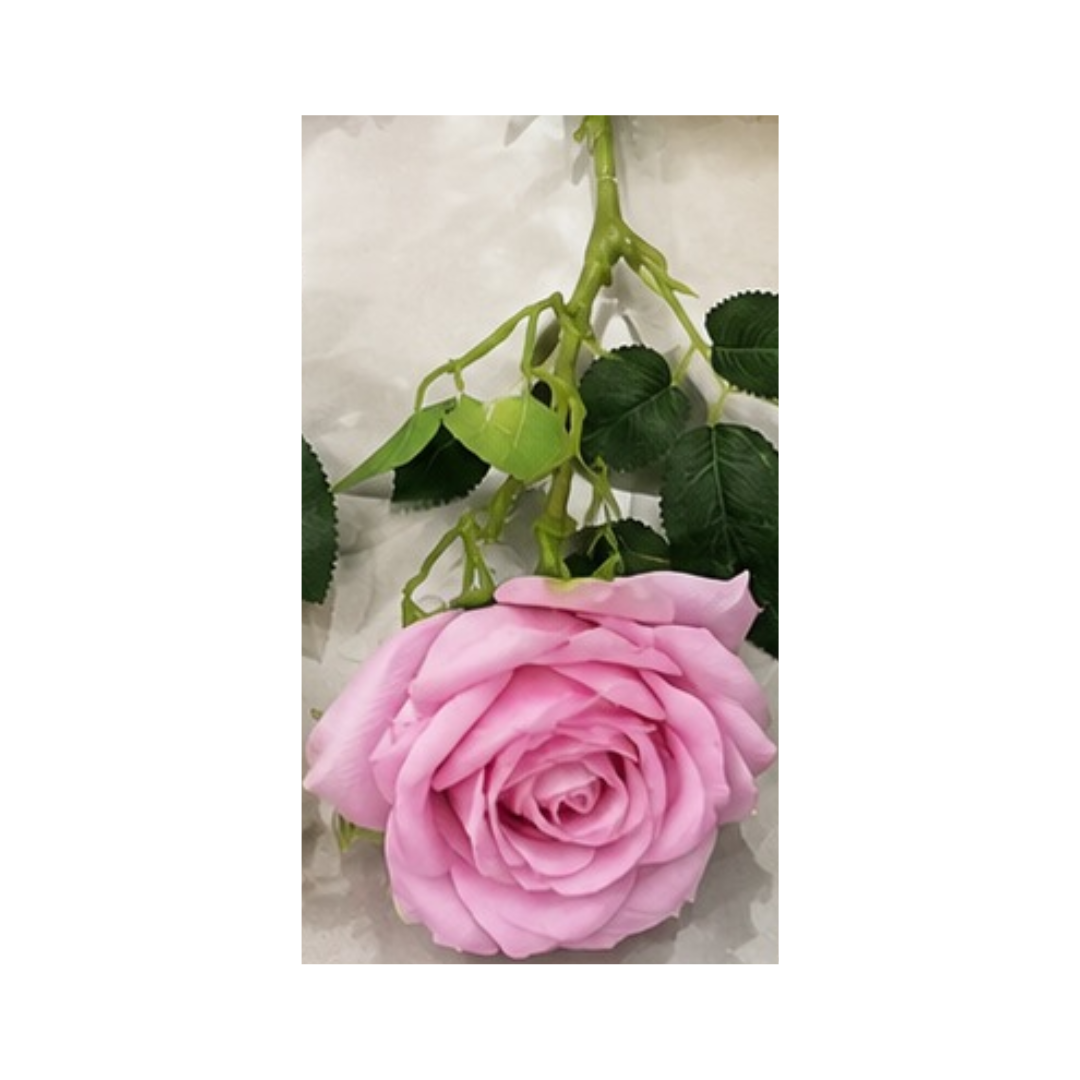 PACK DE 5 RAMOS DE ROSAS SURTIDAS - 3