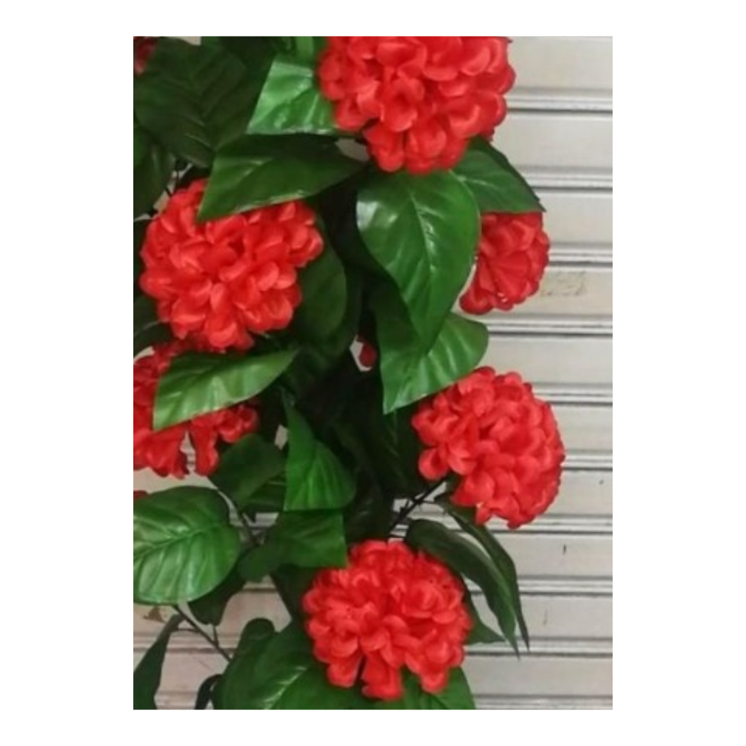 PLANTA DECORATIVA DE GERANIOS - 2