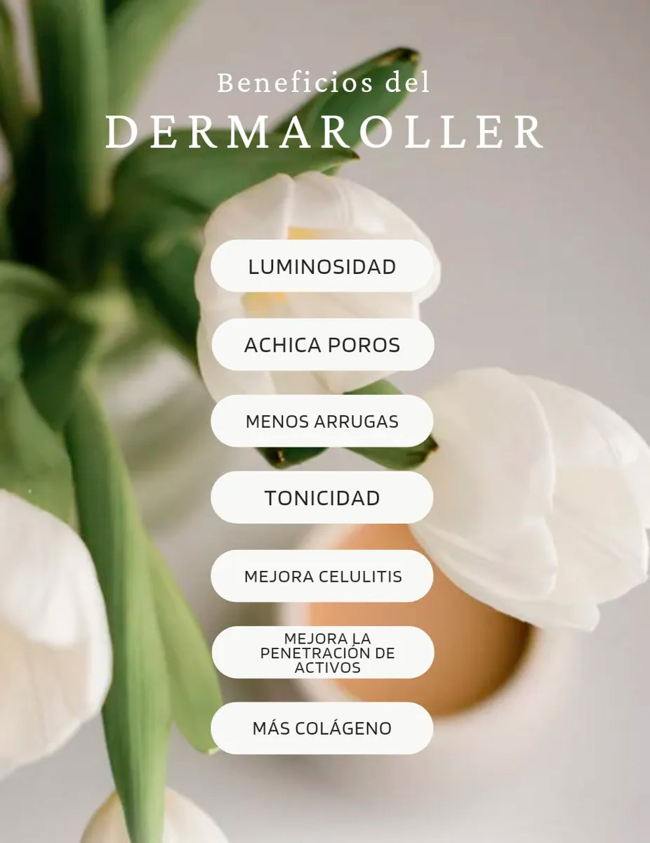 KIT RODILLO FACIAL DERMA ROLLER 4 EN 1 MEDIDAS 0,5MM 1,0MM 1,5MM - 9