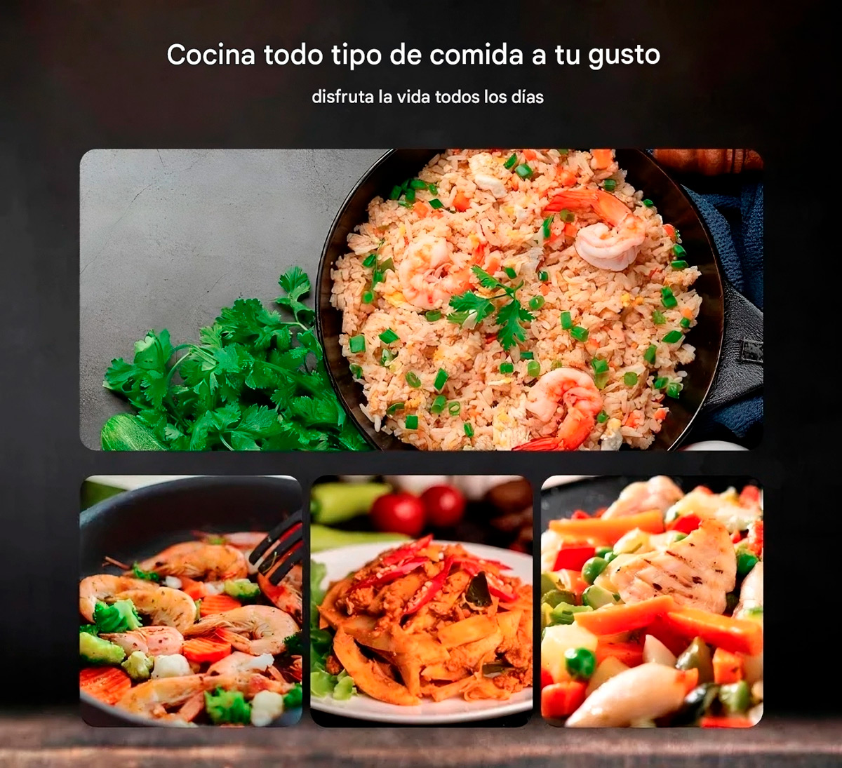 RAF R.8015 COCINA DE INDUCCIÓN 1 HORNILLA PANTALLA LED 2000W - 10