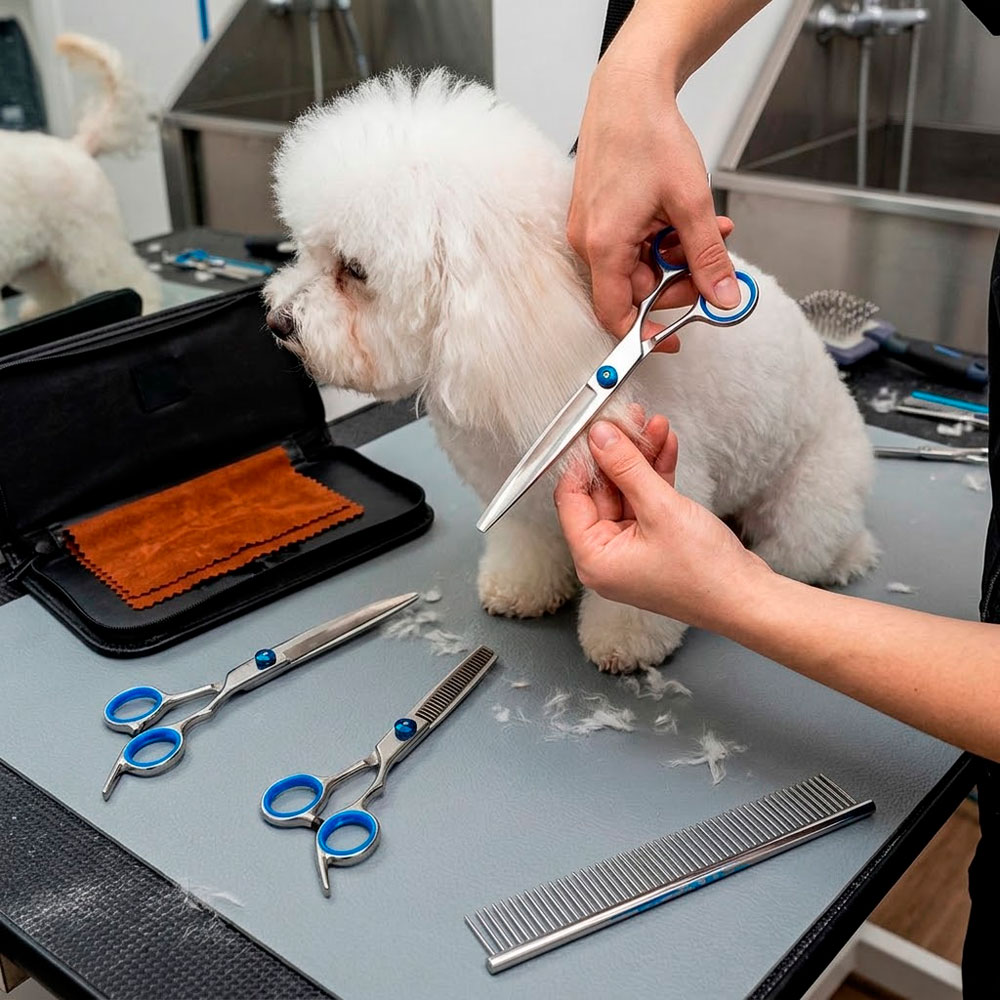 KIT DE PELUQUERÍA PARA MASCOTAS CON 3 TIJERAS PEINE Y ESTUCHE - 6