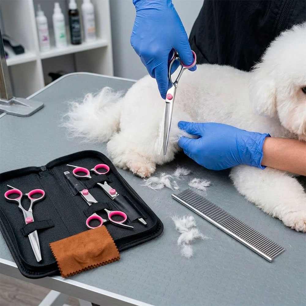 KIT DE PELUQUERÍA PARA MASCOTAS CON 3 TIJERAS PEINE Y ESTUCHE - 2