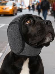 OREJERAS PROTECTORAS PARA PERROS ANTIRUIDO Y AGUA - 3