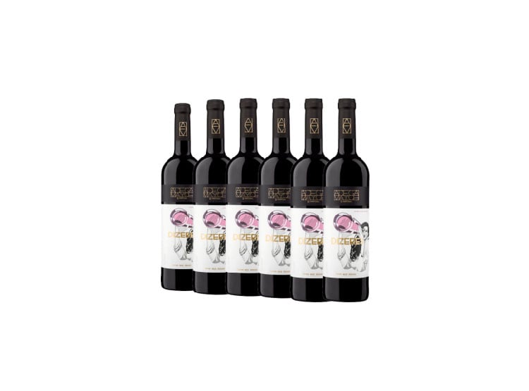 VINOS TINTOS FERRAND PACK 6 UNIDADES DIZERES - 1
