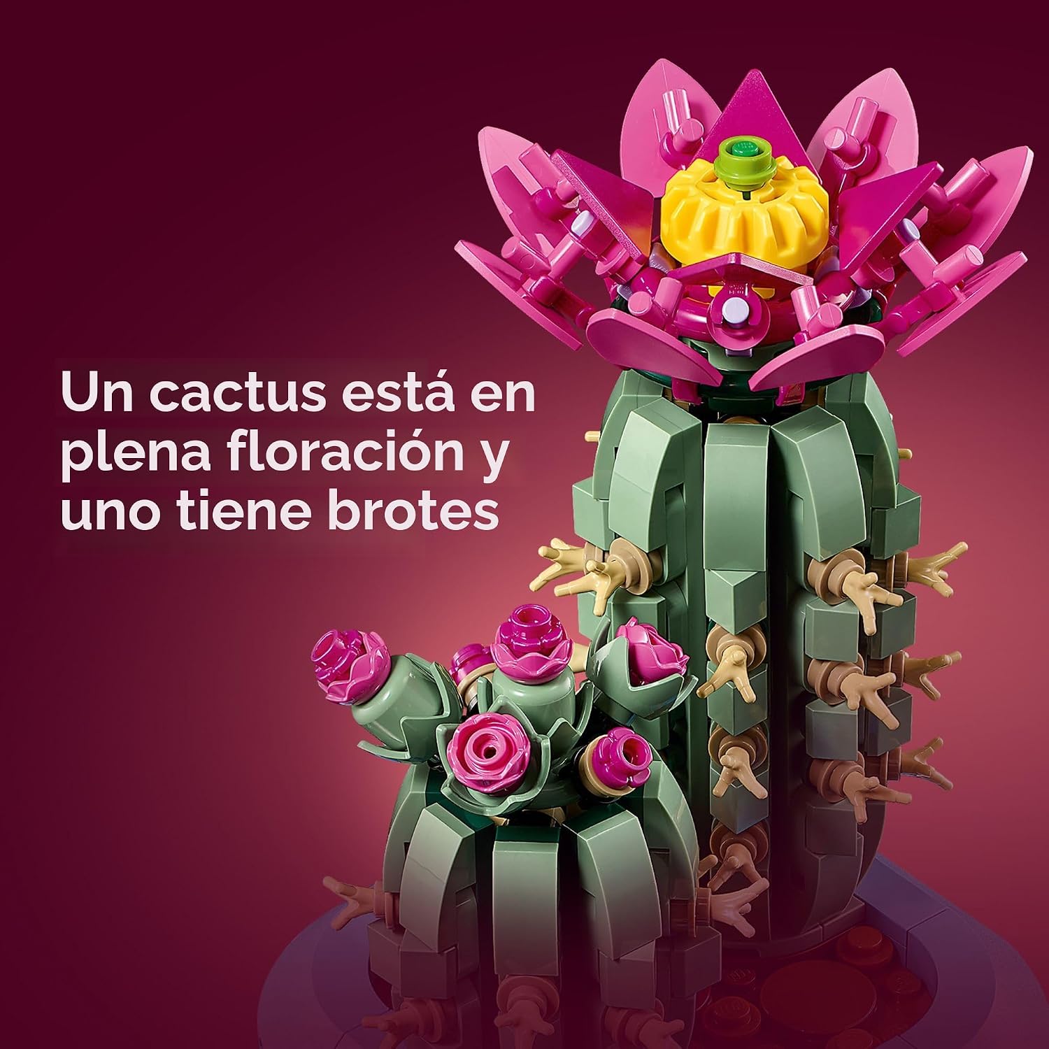 LEGO BOTANICALS FLOWERING CACTUS 11509 CACTUS CON FLORES DE 482 PIEZAS - 4