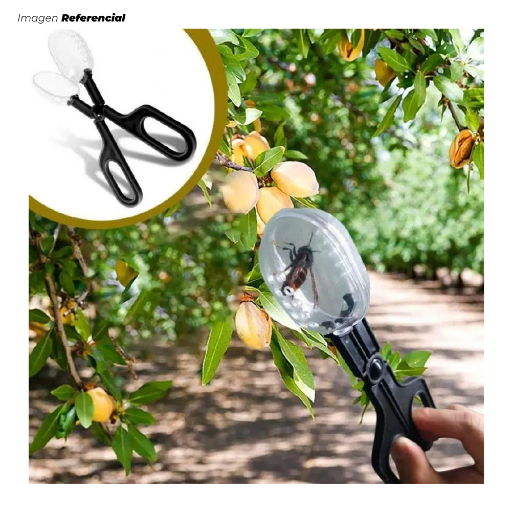 Pinza Divertida para Atrapar Insectos por Unidad Didáctico Educativo - 4