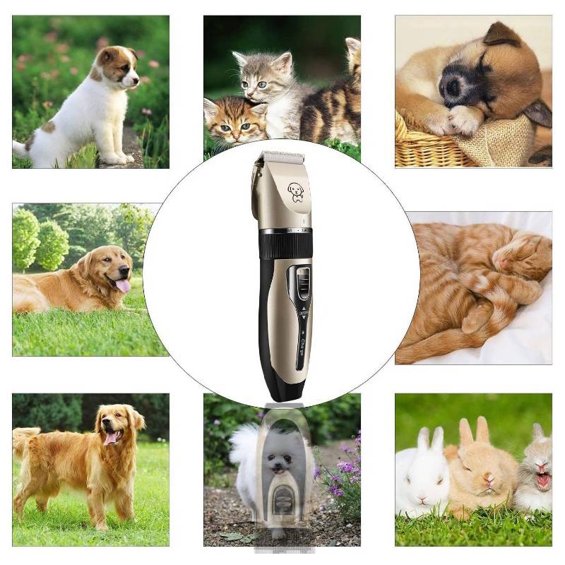 MAQUINA CORTA PELO PERRO OEM MODELO1 INALÁMBRICA LIMA CORTAUÑAS TIJERA - 4