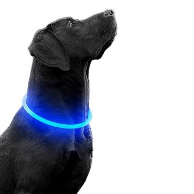 COLLAR LUMINOSO PARA PERROS RECARGABLE POR USB - 1