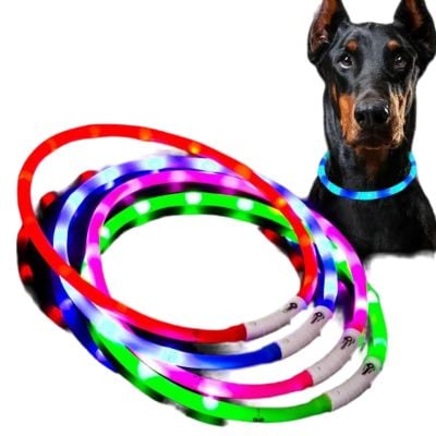 COLLAR LUMINOSO PARA PERROS RECARGABLE POR USB - 2