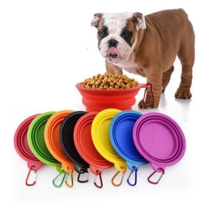 PLATO PERRO SILICONA PLEGABLE MASCOTA 650ML - 1