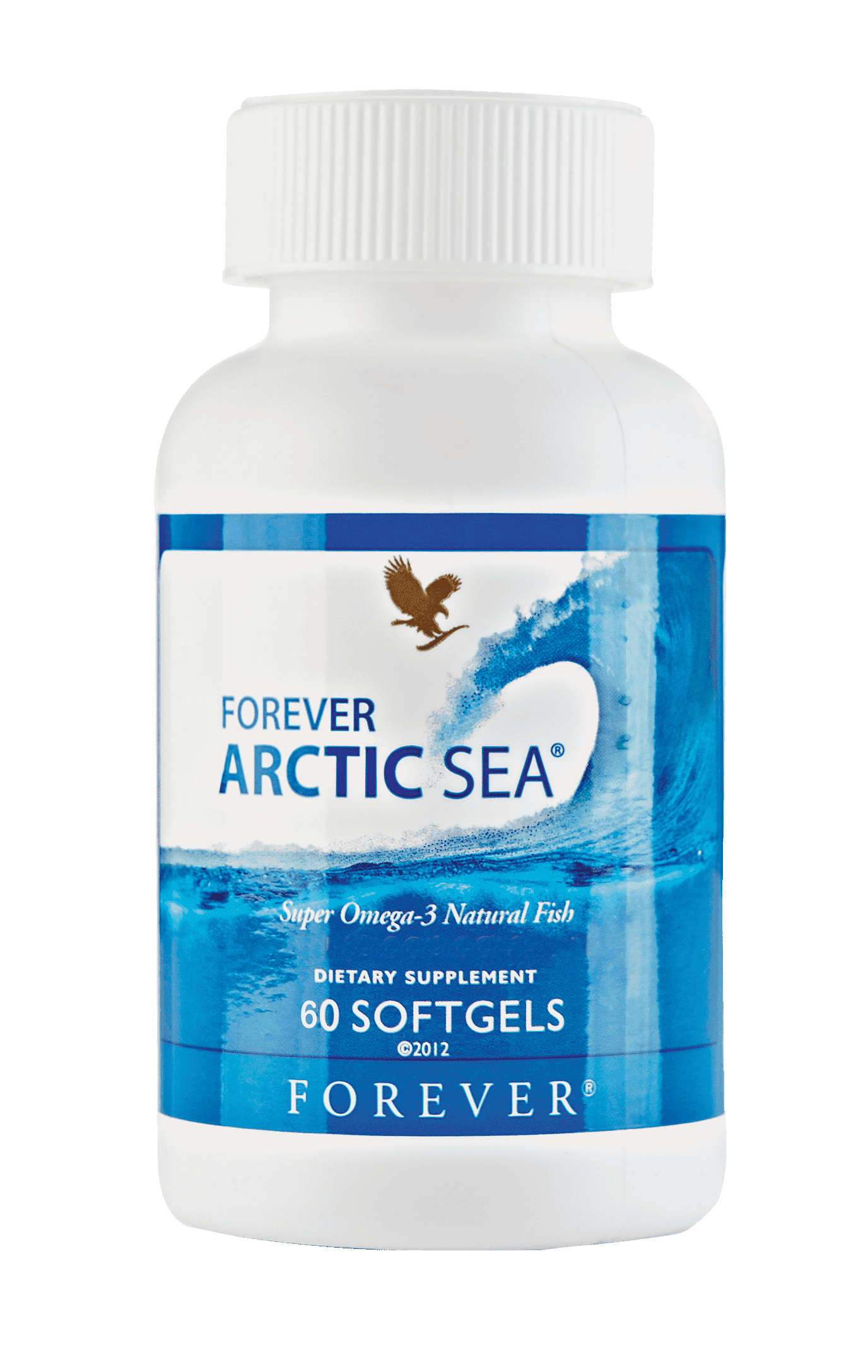 FOREVER ARTIC SEA - 1