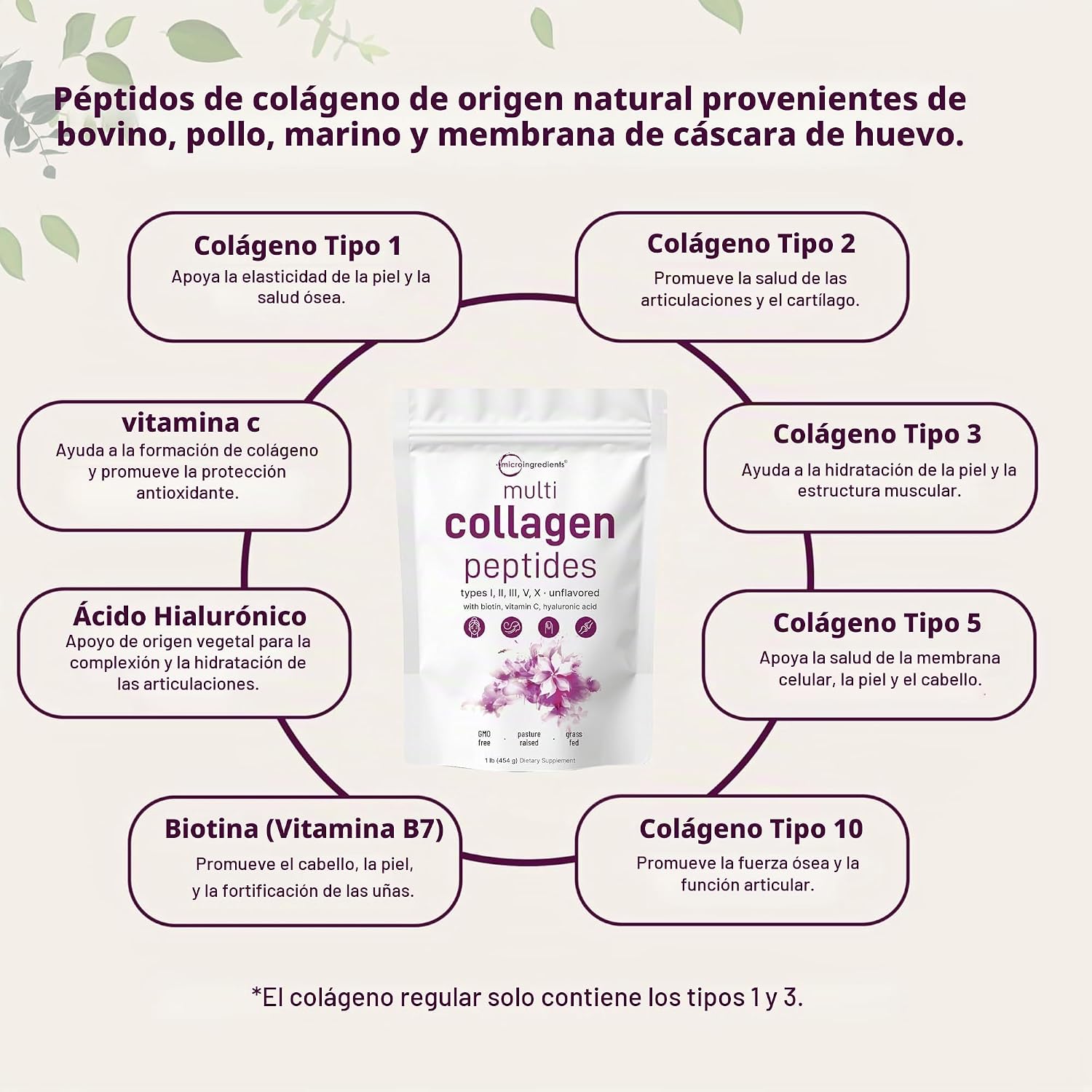 MICRO INGREDIENTS POLVO DE PÉPTIDOS DE COLÁGENO MÚLTIPLE, 1 LIBRA - 3