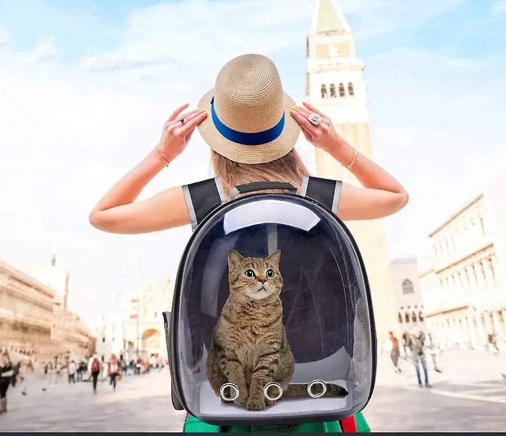MOCHILA DE MASCOTA TRANSPARENTE PARA PERROS Y GATOS NEGRO - 5