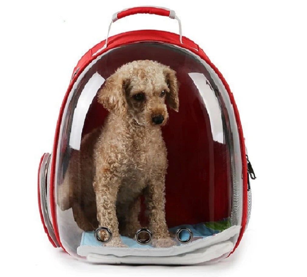 MOCHILA DE MASCOTA TRANSPARENTE PARA PERROS Y GATOS ROJO - 3