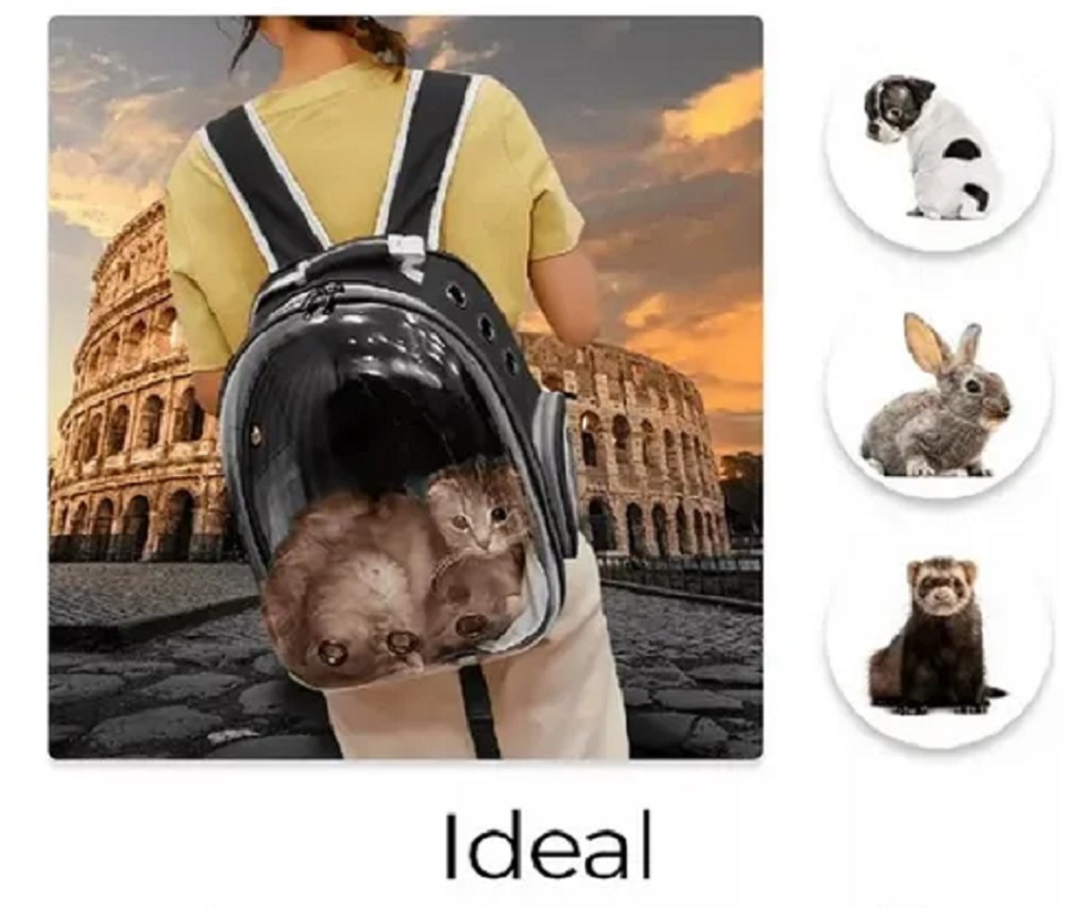 MOCHILA DE MASCOTA TRANSPARENTE PARA PERROS Y GATOS ROJO - 4