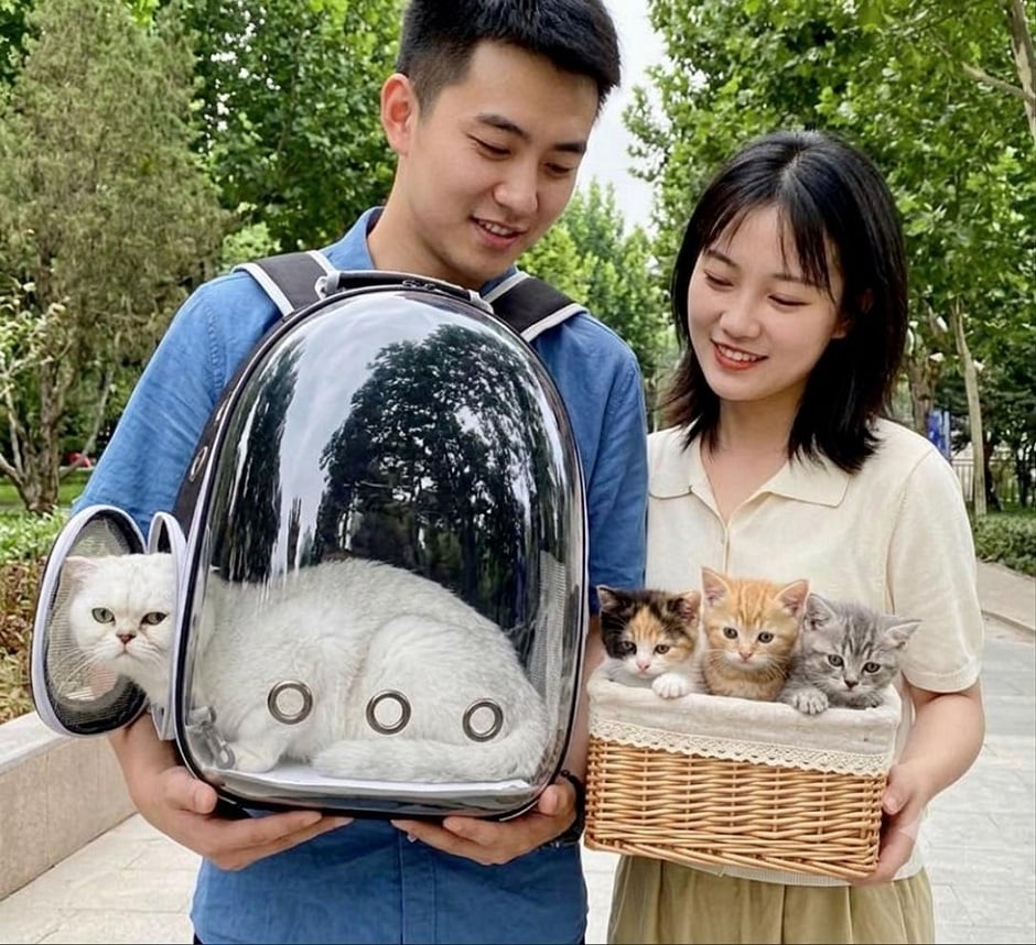 MOCHILA TRANSPORTARTADORA PARA GATO PERRO-MASCOTAS, NEGRO - 1