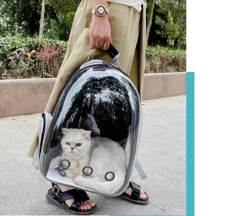 MOCHILA TRANSPORTARTADORA PARA GATO PERRO-MASCOTAS, NEGRO - 2