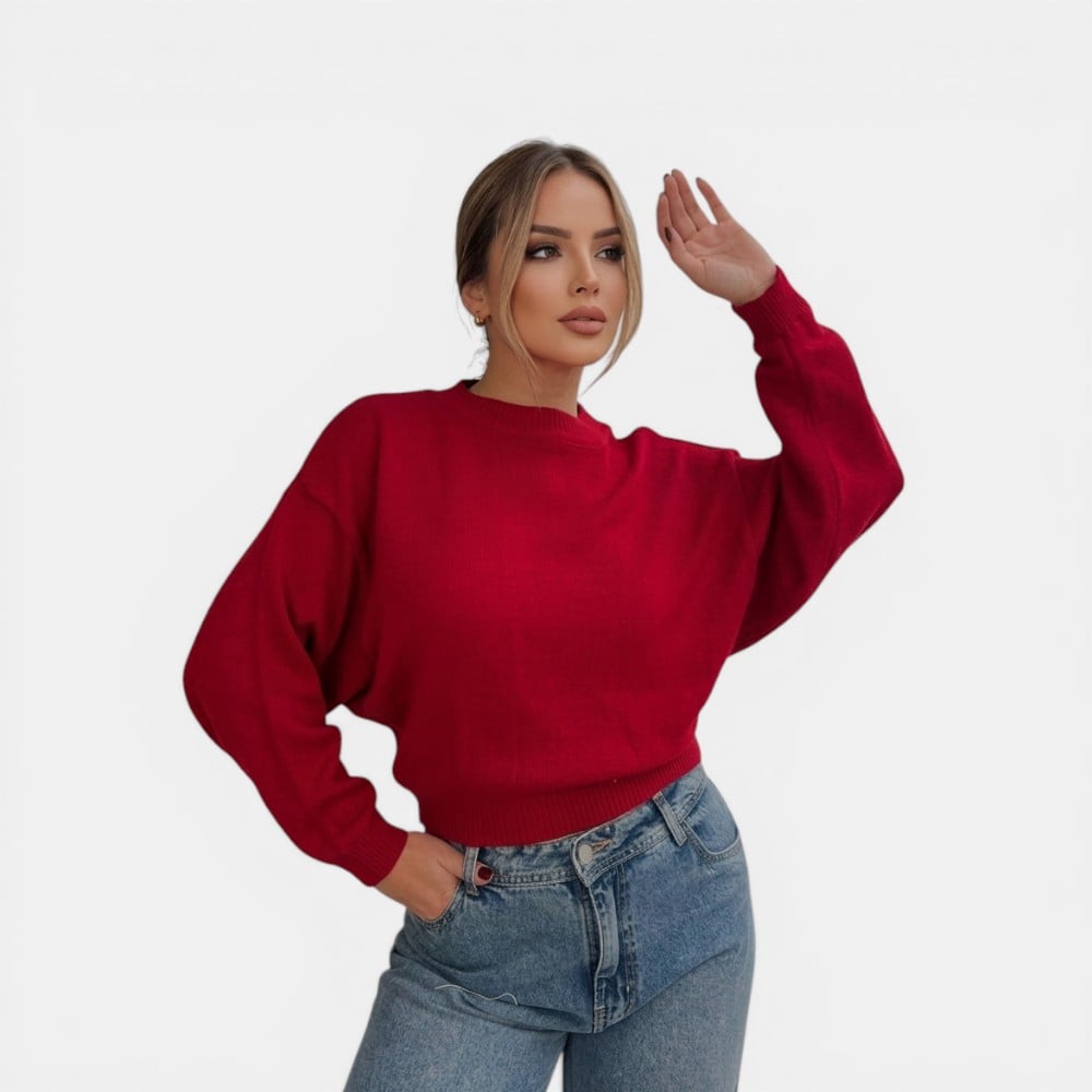 SUETER MUJER CASUAL CERRADA MLARGA CLASICO 359G-25 COLOR VINO - 1